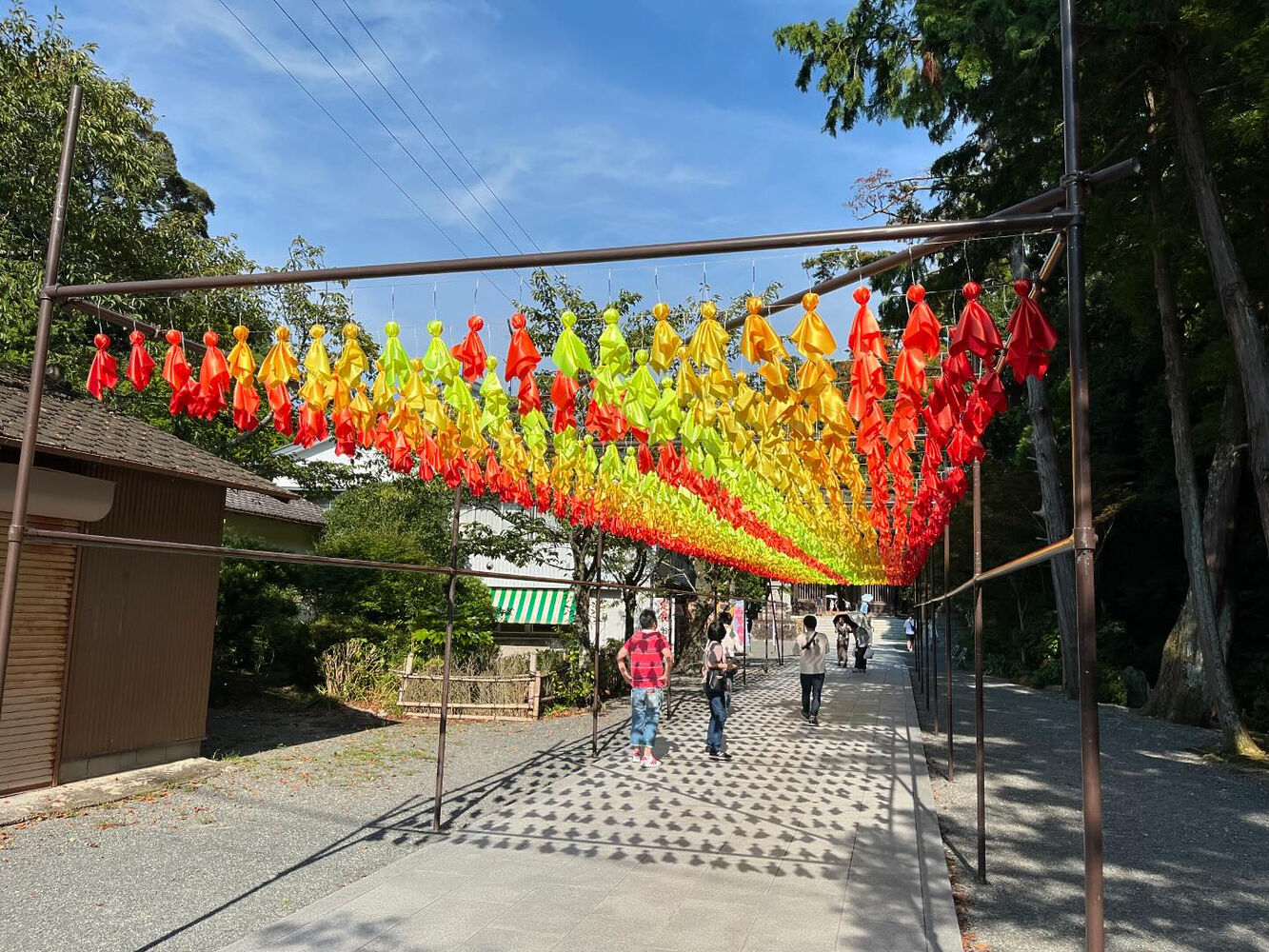 ブログ