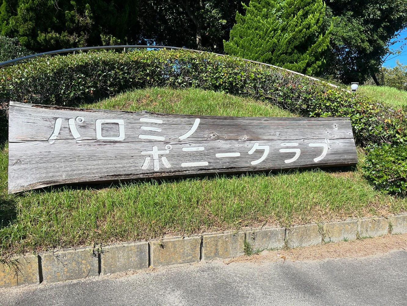 ブログ